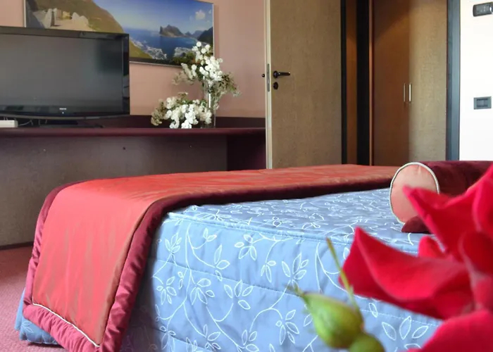 Gotha Hotel Turin Airport